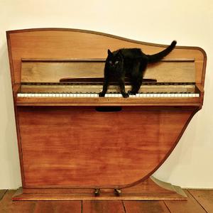 俄罗斯女人与狗性交
